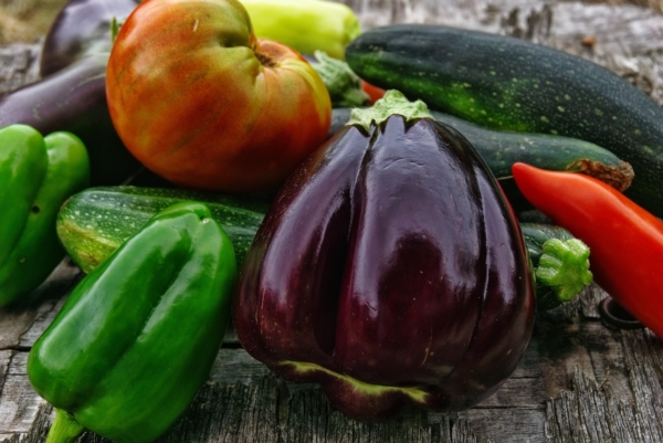 Blick auf diverses geerntetes Gemüse, wie Aubergine, Paprika, Zucchini