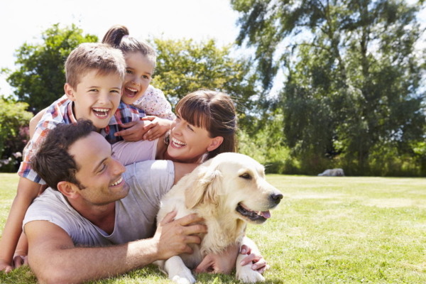 Zu sehen ist eine Familie mit zwei Kindern und einem Hund, die auf einer Wiese liegen und lachen
