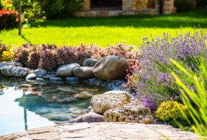 Ein Biotop umgeben von Steinen und Lavendel, im Hintergrund ist schönes Grün zu sehen
