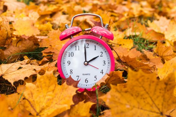 Man erkennt eine rosa Uhr, umgeben von Blättern. 