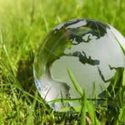 Zu sehen ist eine Weltkugel aus Glas, welche im grünen Gras liegt.
