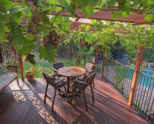 Man sieht eine Terrasse mit einem Tisch und Sesseln. Als Terrassenüberdachung eine Pergola mit einem Weinstock, der als Schattenspender dient