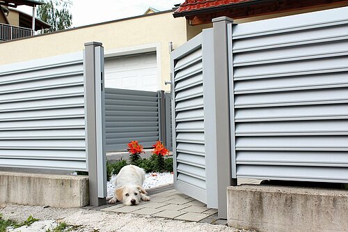 Blickdichter Lamellenzaun mit passender Gehtür in silber, Modell Trento, im geöffneten Tor liegt ein Hund