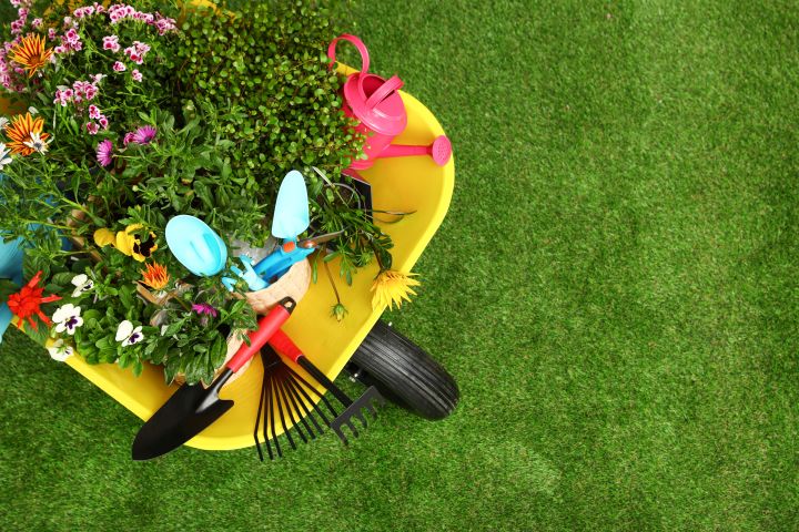 Auf dem Bild ist eine Schubkarre und daraufliegende Gartenutensilien zu sehen.