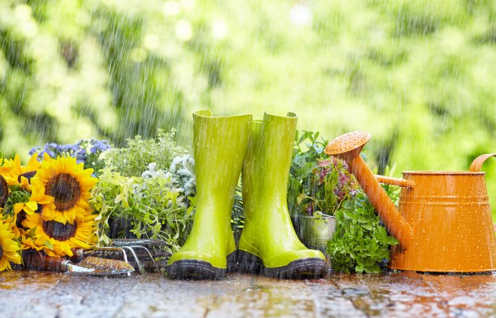 Man erkennt Gartenutensilien, die im Regen stehen.