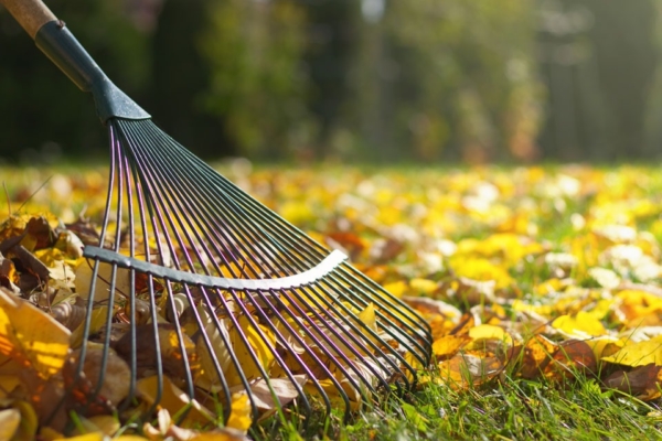 Rechen, der im Herbst die gefallenen Blätter zusammenkehrt