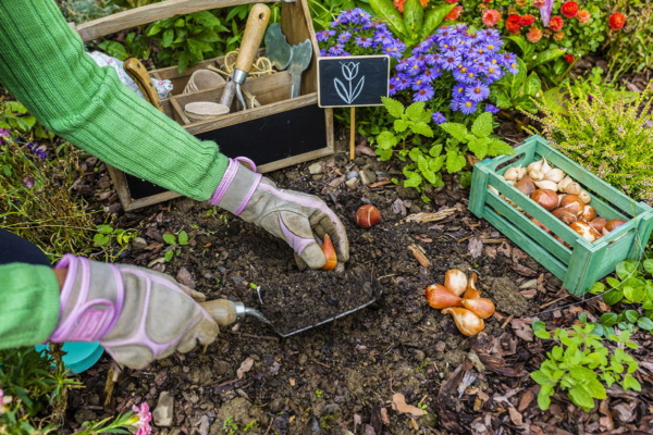 Gartenzaun, Aluzaun, Gartenzaun, Aluminiumzaun, Zaundesign
