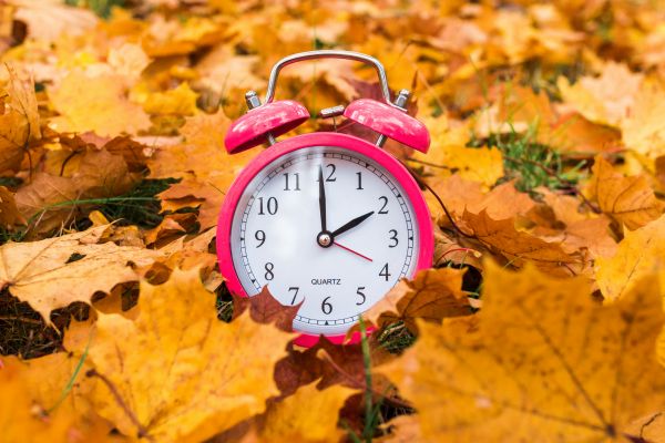 Man erkennt eine rosa Uhr, umgeben von Blättern. 