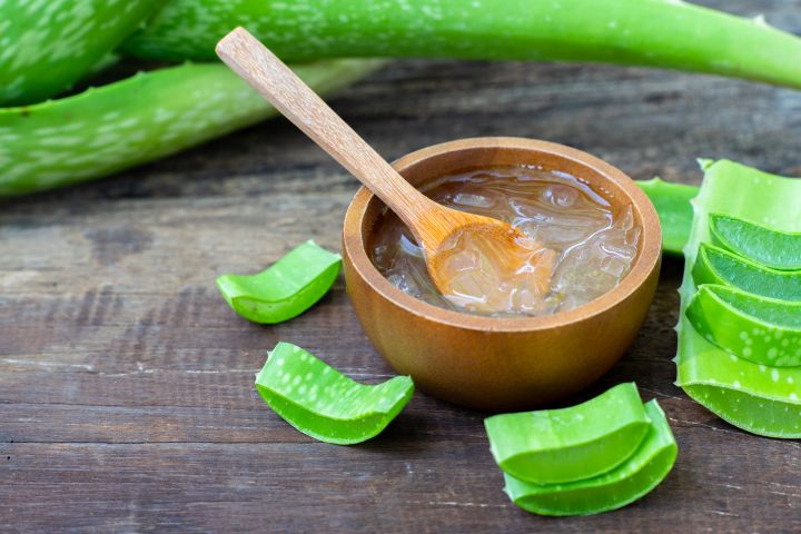 Man erkennt eine Aloe Vera Pflanze und das daraus entstehende Gel
