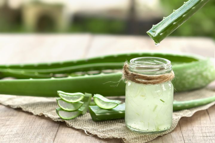 Zu sehen ist eine Aloe Vera Pflanze und ein Gläschen mit Gel