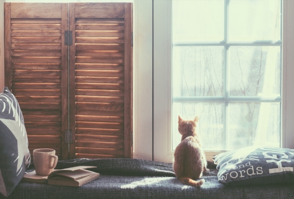 Pimp my Fensterbank – Tipps und Tricks