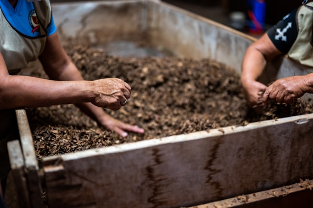 Richtig kompostieren – eine Anleitung für den Komposthaufen im Garten